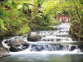 Tabacon Grand Spa Thermal Resort Arenal Exteriör bild
